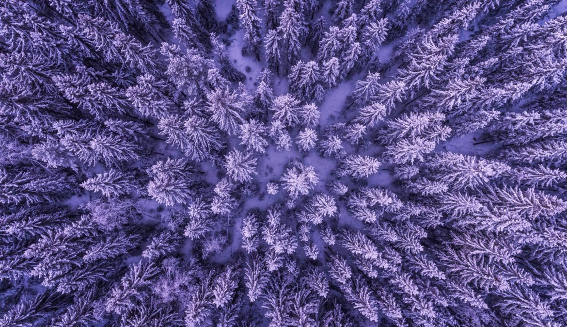 clustering-algorithms